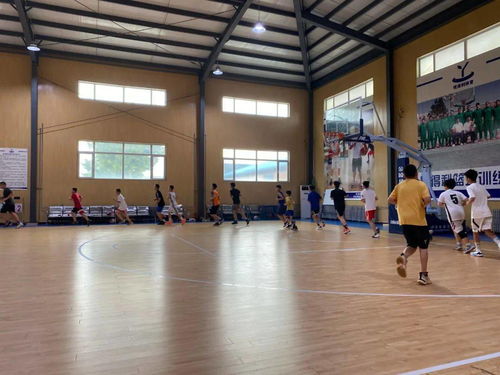 2020年度豐臺區青少年各項目運動隊暑期集訓工作圓滿完成